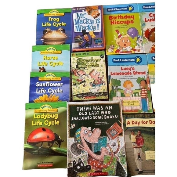 Scholastic Book Series bundle of 16 books first/second grade elementary reading - Picture 2 of 9